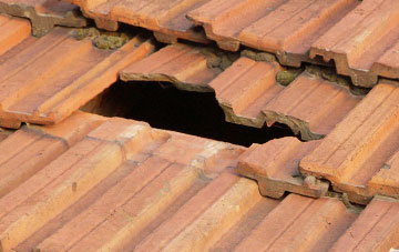 roof repair Brockenhurst, Hampshire