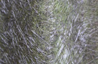 Brockenhurst fibreglass roof work